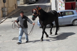 Calatafimi - Segesta206.JPG
